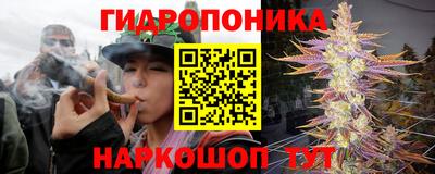 прущие грибы Славянск-на-Кубани