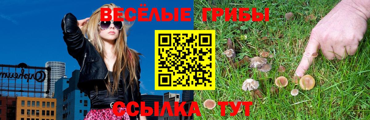 Галлюциногенные грибы прущие грибы Можайск